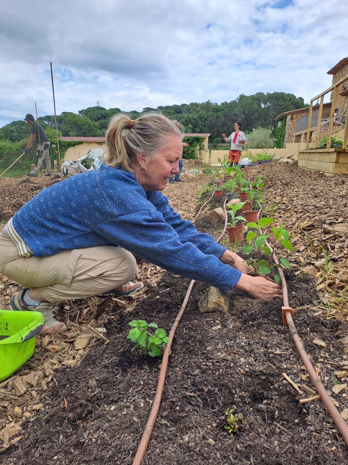 A gardener planting into a mulched, drip-irrigated bed in the regenerated Costa Brava garden