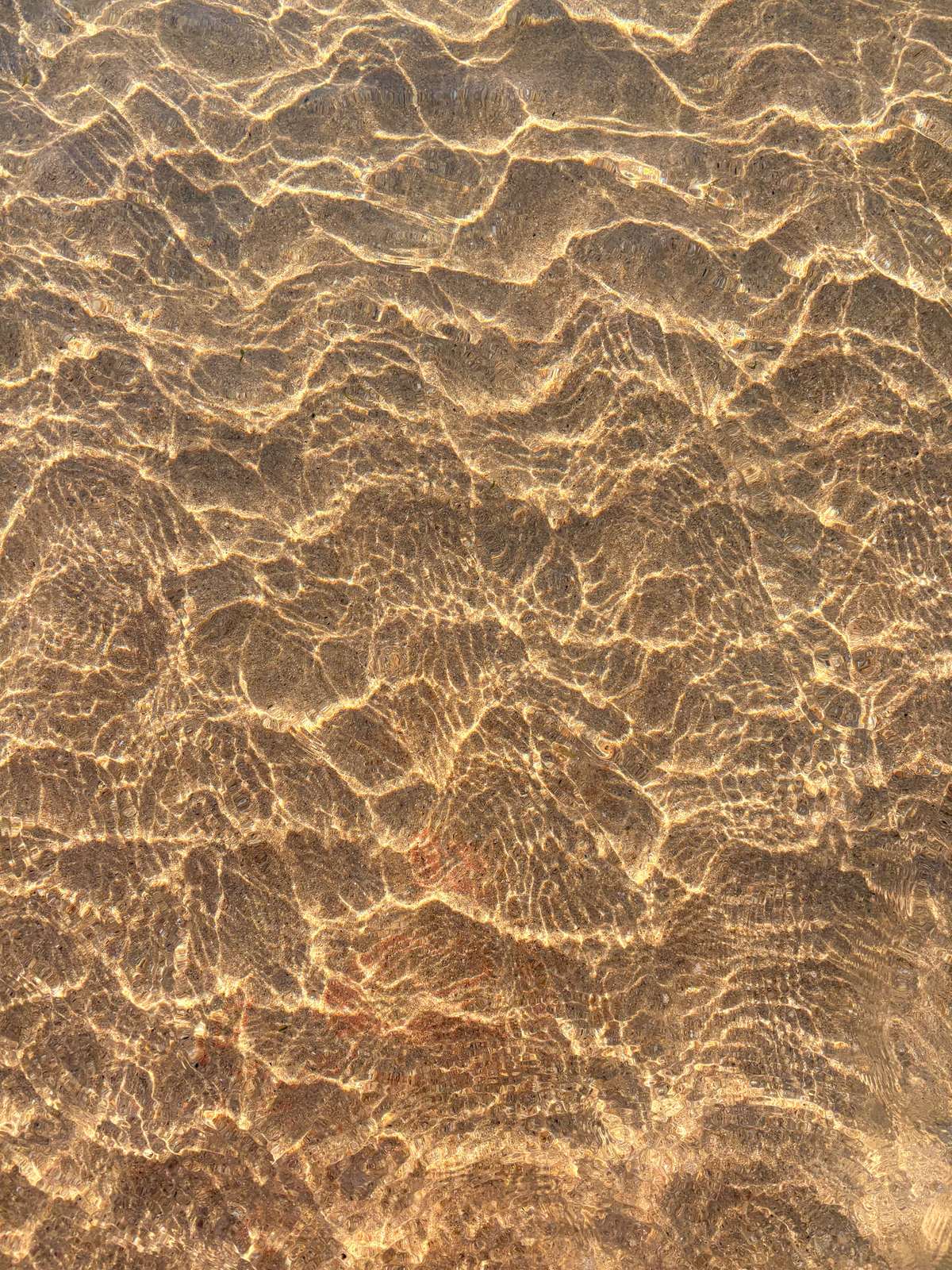 Golden sunlight rippling over shallow Atlantic water